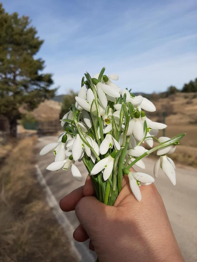 Apartamento La Montesa La Virgen de la Vega Екстериор снимка